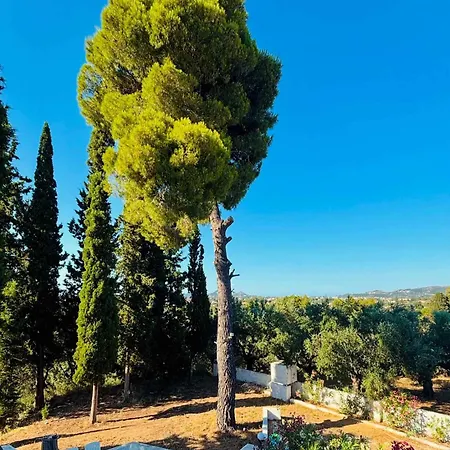 Casa Angelina 1 * Laganas