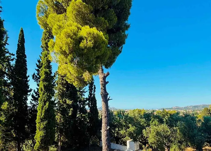 Casa Angelina 1 * Laganas